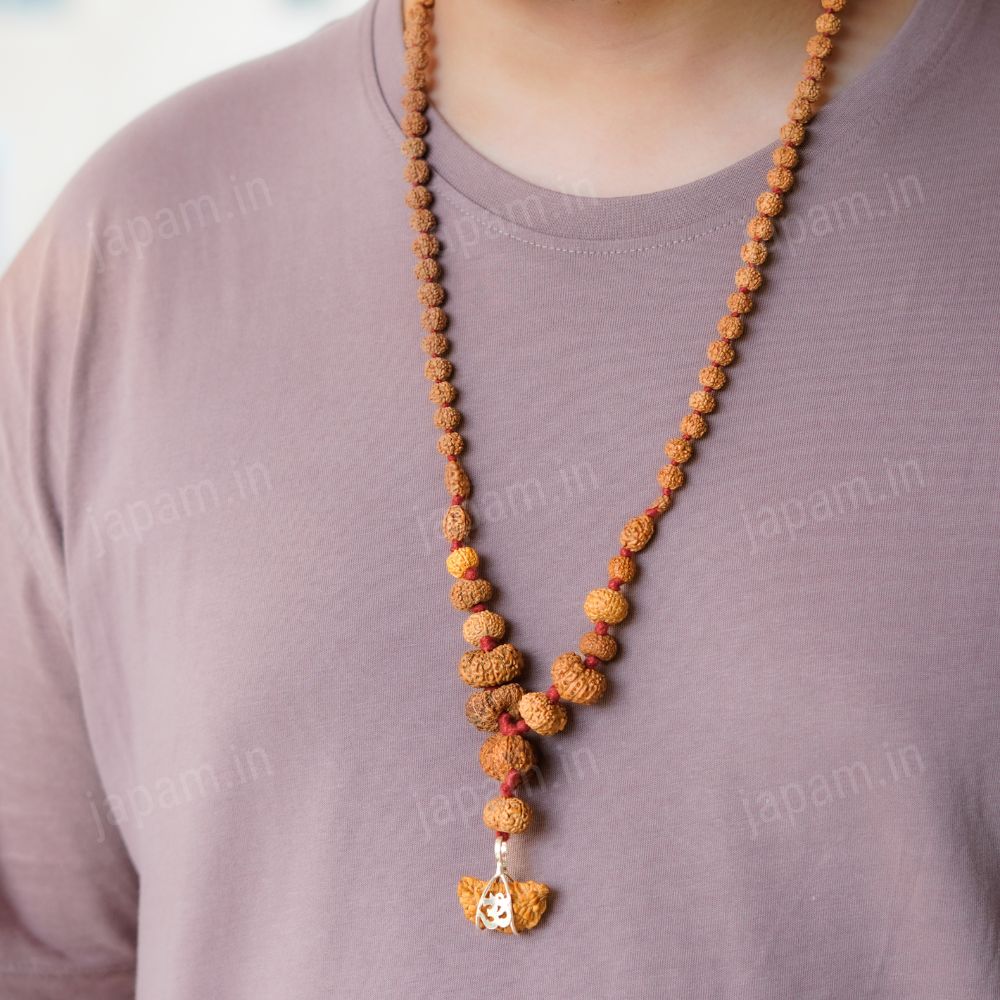 1 - 14 Mukhi Siddha Rudraksha Mala