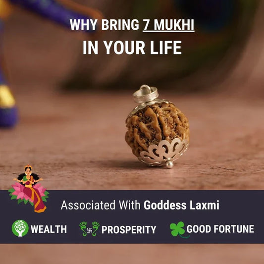 7 Mukhi Lab-Tested Nepali Rudraksha | Free Kundali On Prepaid Order |Buy 1 Get 1 FREE Gift