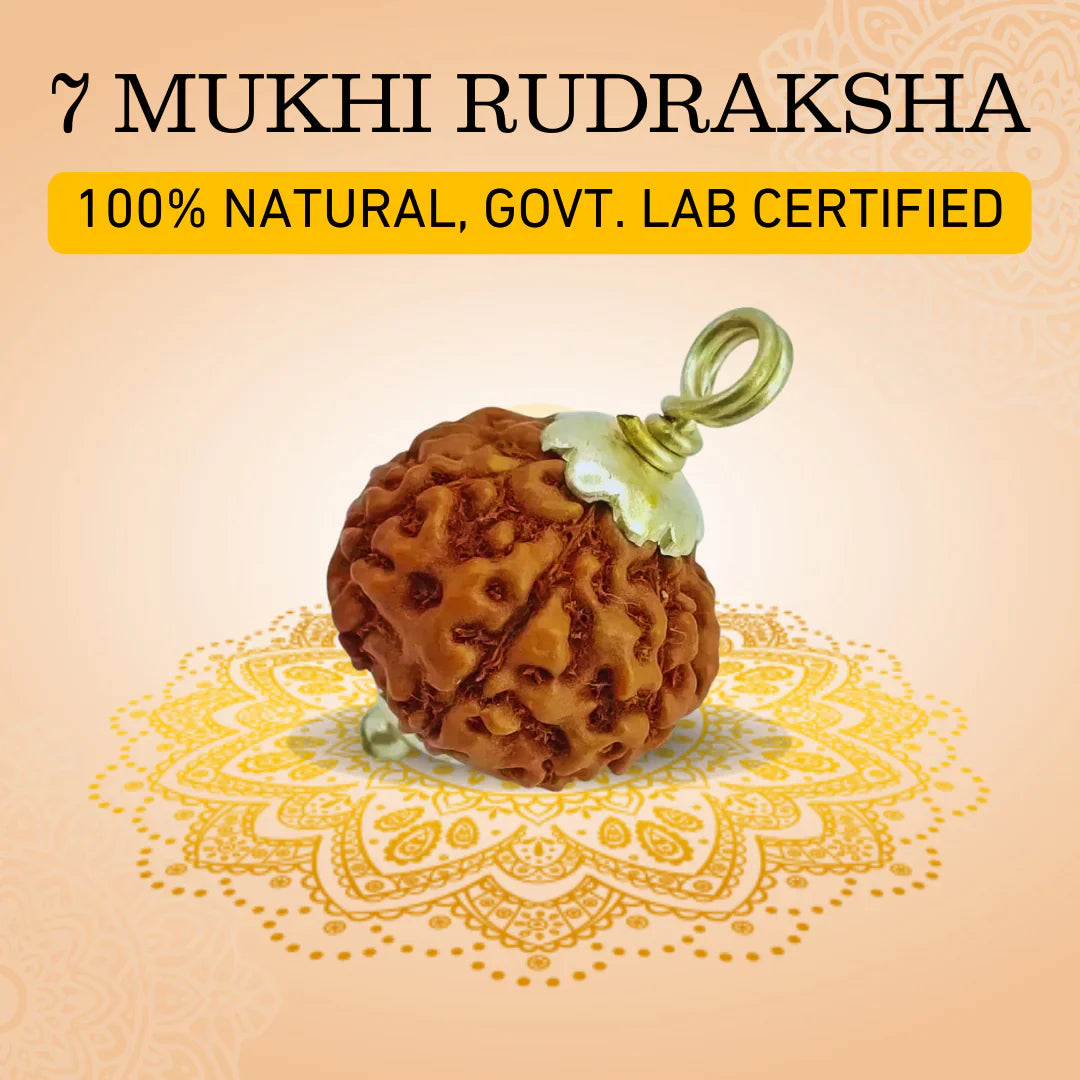 7 Mukhi Lab-Tested Nepali Rudraksha | Free Kundali On Prepaid Order |Buy 1 Get 1 FREE Gift