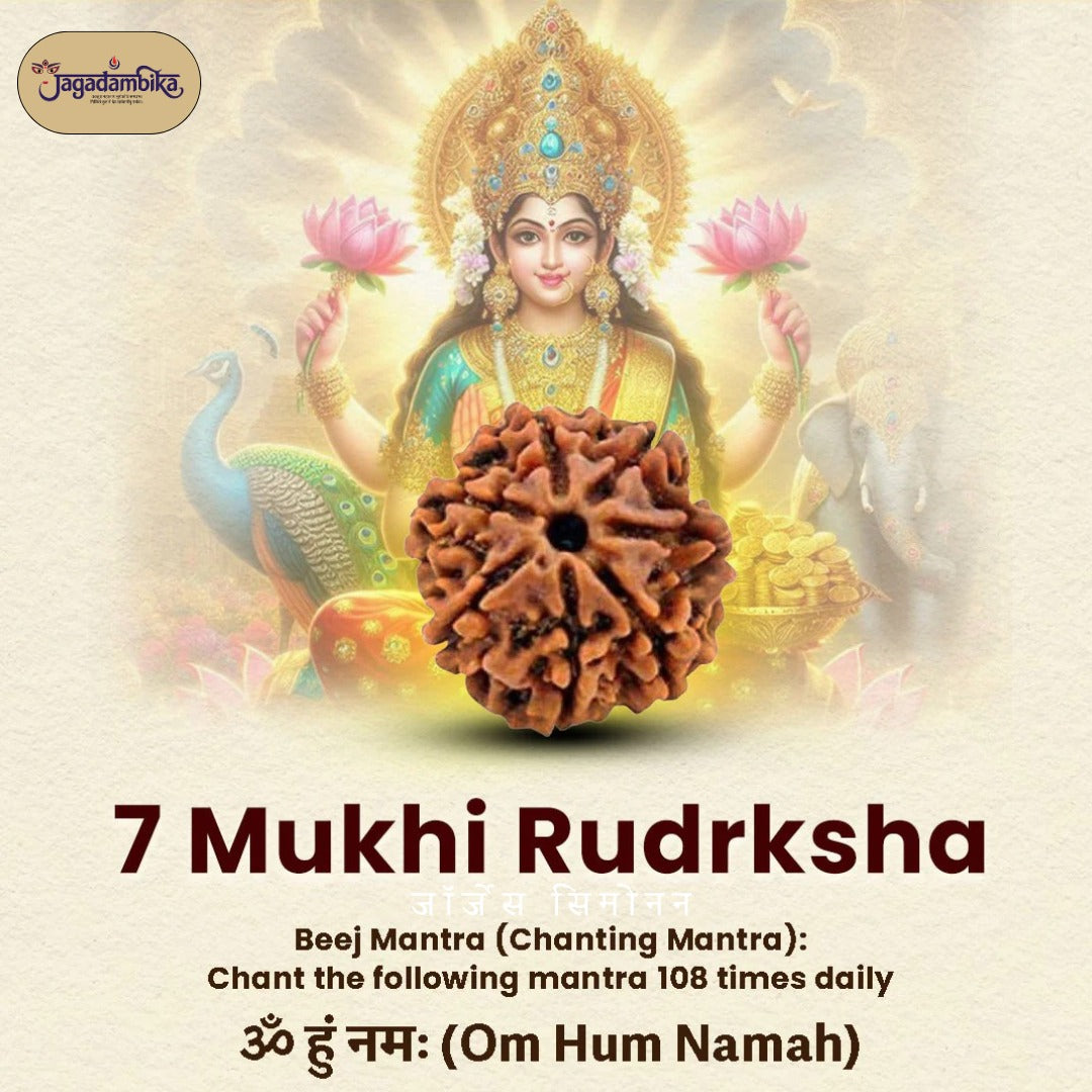 7 Mukhi Lab-Tested Nepali Rudraksha | Free Kundali On Prepaid Order |Buy 1 Get 1 FREE Gift
