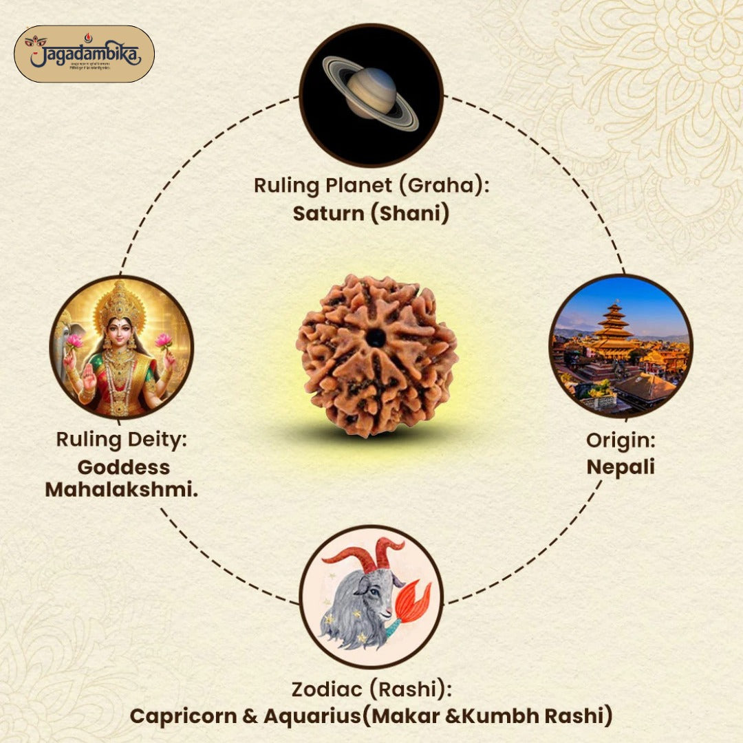 7 Mukhi Lab-Tested Nepali Rudraksha | Free Kundali On Prepaid Order |Buy 1 Get 1 FREE Gift
