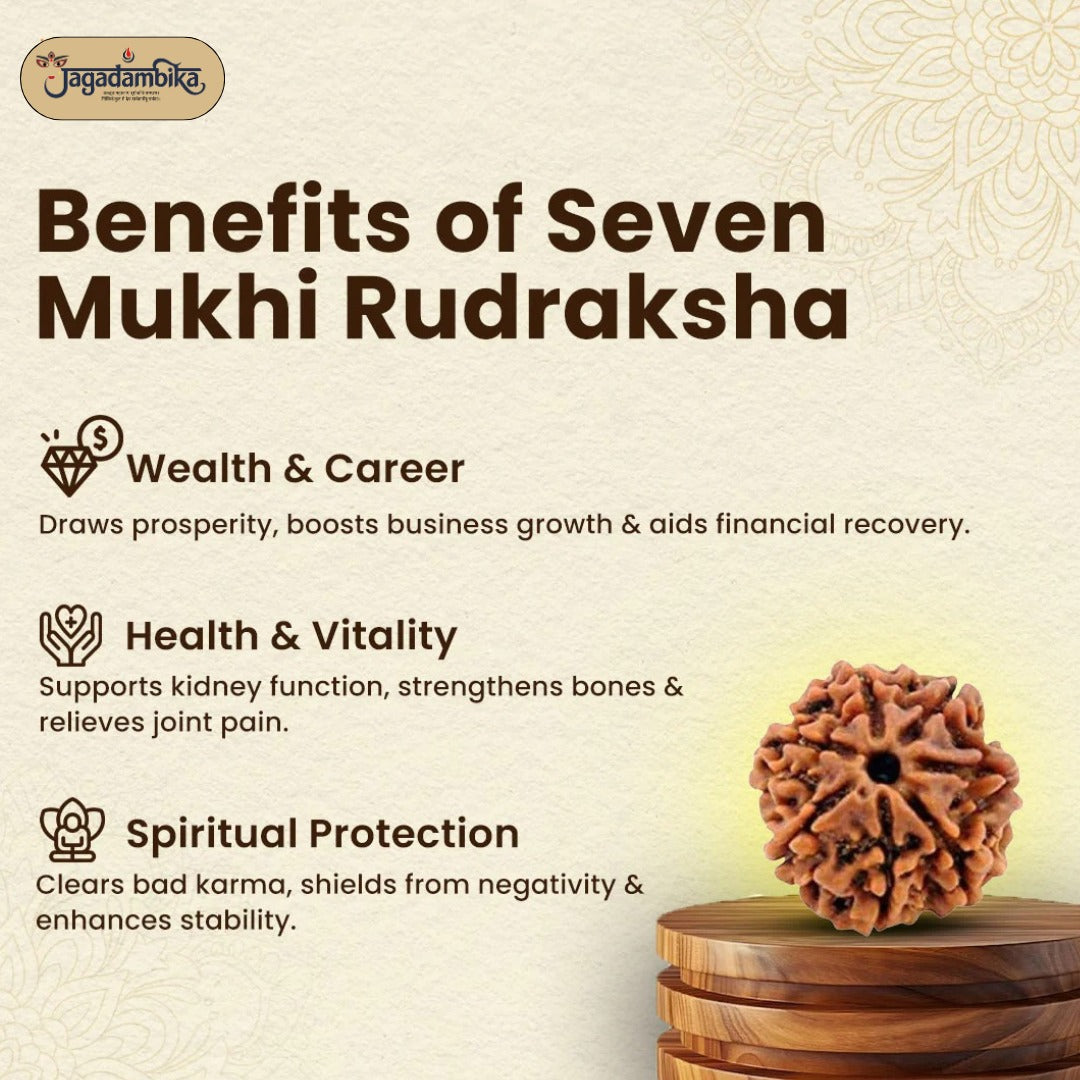 7 Mukhi Lab-Tested Nepali Rudraksha | Free Kundali On Prepaid Order |Buy 1 Get 1 FREE Gift