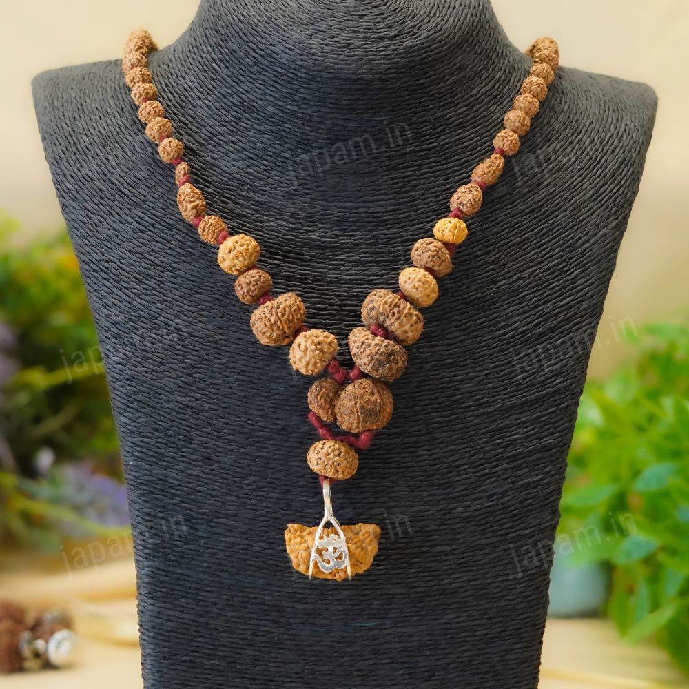 1 - 14 Mukhi Siddha Rudraksha Mala