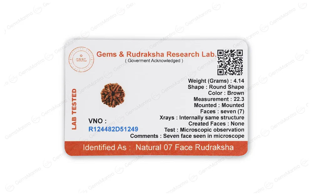 7 Mukhi Lab-Tested Nepali Rudraksha | Free 5 Mukhi Rudraksha Bracelet