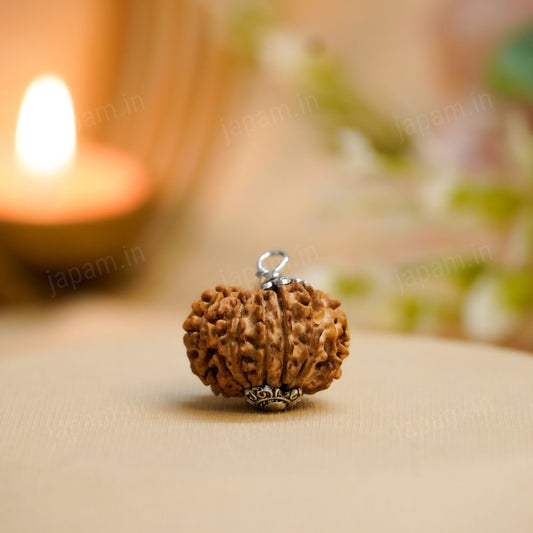 12 Mukhi Nepali Rudraksha - Baarah Mukhi