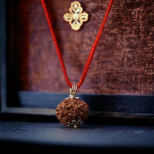 10 Mukhi Nepali Rudraksha - Das Mukhi