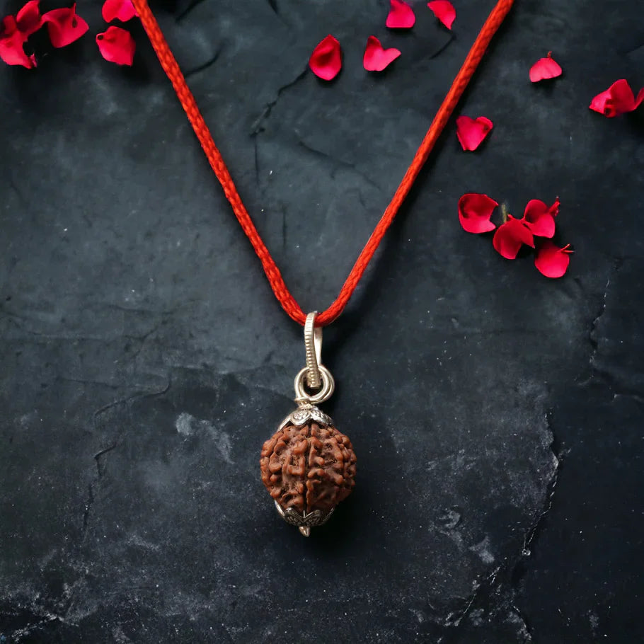 7 Mukhi Lab-Tested Nepali Rudraksha | Free 5 Mukhi Rudraksha Bracelet