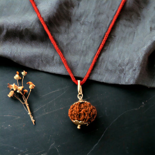 9 Mukhi Nepali Rudraksha - Nau Mukhi