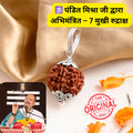 7 Mukhi Lab-Tested Nepali Rudraksha | Free 5 Mukhi Rudraksha Bracelet
